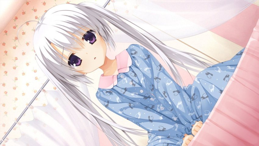 1girl antenna_hair ayachi_nene bed bedroom between_legs blue_pajamas child collar curtains eyebrows_visible_through_hair game_cg hand_between_legs indoors kobuichi long_hair long_sleeves looking_at_viewer muririn on_bed pajamas pink_collar purple_eyes sanoba_witch sitting sitting_on_bed solo twintails white_hair