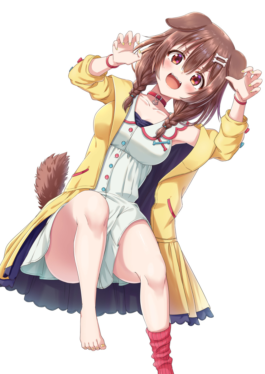 1girl :d absurdres animal_ears bangs bare_shoulders blush bone_hair_ornament braid breasts brown_eyes brown_hair cartoon_bone choker claw_pose collarbone commentary_request dog_ears dog_girl dog_tail dress eyebrows_visible_through_hair fangs fingernails hair_between_eyes highres hololive inugami_korone jacket long_hair long_sleeves looking_at_viewer nail_polish open_clothes open_jacket open_mouth rariemonn red_choker red_legwear shoes simple_background single_shoe sleeveless sleeveless_dress small_breasts smile socks solo tail toenail_polish toenails twin_braids virtual_youtuber white_background white_dress yellow_jacket yellow_nails
