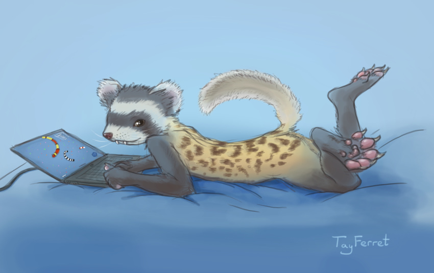 ambiguous_gender anthro claws computer cub digital_media_(artwork) fur gaming hindpaw laptop lying mammal marbled_polecat mustela mustelid musteline nude on_front pawpads paws playing_videogame solo tayferret teeth young