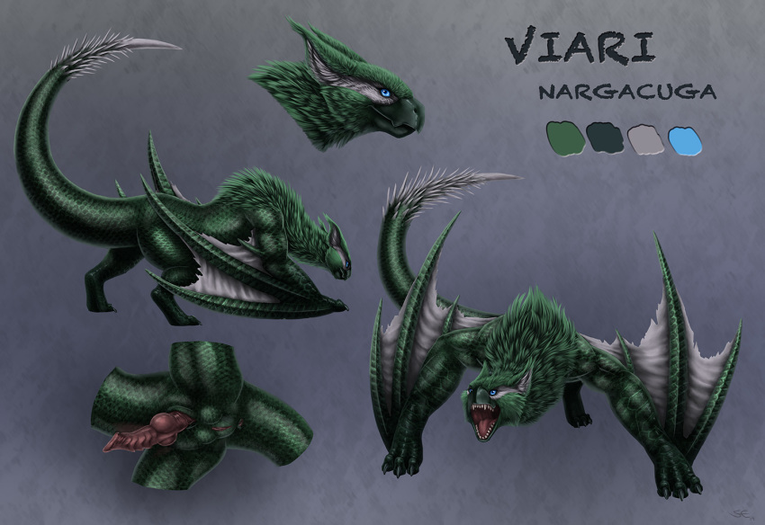 2019 balls beak black_beak blue_eyes capcom digital_media_(artwork) dragon feral flying_wyvern fur green_body green_fur green_nargacuga green_scales herm intersex knot model_sheet monster_hunter nargacuga penis pussy sabretoothed_ermine scales solo video_games wyvern