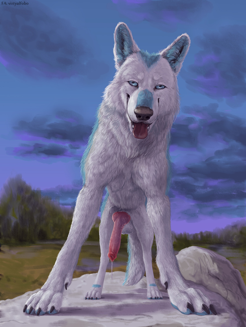 2019 animal_genitalia animal_penis arctic_wolf balls black_nose blue_body blue_eyes blue_fur bodily_fluids canid canine canine_penis canis claws cloud cum detailed_background digital_media_(artwork) erection feral fur genital_fluids hi_res knot male mammal multicolored_body multicolored_fur nude open_mouth outside penis red_tongue rock sky smile solo tongue tongue_out virtyalfobo white_body white_fur wolf zepi