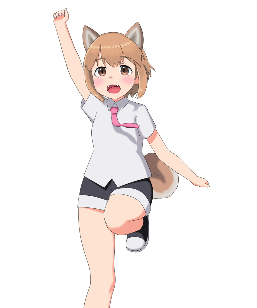 2019 animal_humanoid bottomwear brown_eyes brown_hair canid canid_humanoid canine canine_humanoid child clothed clothing dog_humanoid fangs female footwear hair hi_res humanoid mammal mammal_humanoid mitokon_dorian necktie open_mouth shirt shoes shorts simple_background topwear white_background young