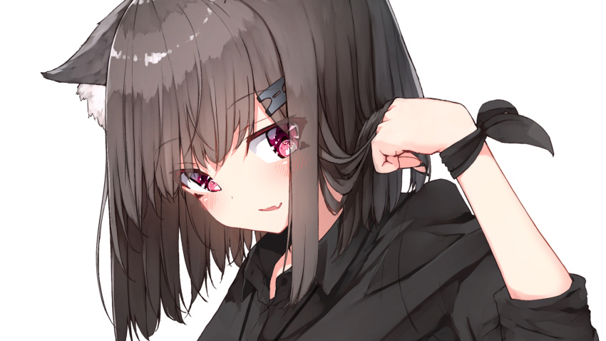1girl animal_ear_fluff animal_ears bangs black_shirt blush brown_hair cat_ears collared_shirt commentary_request dress_shirt eyebrows_visible_through_hair eyes_visible_through_hair fang hair_ornament hairclip hand_in_hair hand_up highres long_hair looking_at_viewer mayogii original parted_lips red_eyes shirt simple_background smile solo white_background