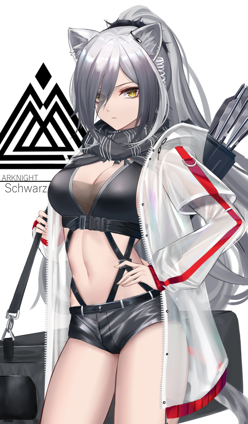 1girl absurdres animal_ear_fluff animal_ears arknights bag bangs black_hair black_scarf black_shorts breasts bustier cat_ears cat_girl cat_tail cleavage closed_mouth coat crop_top ear_piercing eternity_(pixiv8012826) expressionless eyes_visible_through_hair gradient_hair hair_ornament hair_over_one_eye hair_scrunchie hand_on_hip highres holding holding_bag large_breasts long_hair long_sleeves looking_at_viewer multicolored_hair navel open_clothes open_coat piercing ponytail raincoat scarf schwarz_(arknights) scrunchie see-through short_over_long_sleeves short_shorts short_sleeves shorts silver_hair solo stomach suspenders tail very_long_hair yellow_eyes zipper