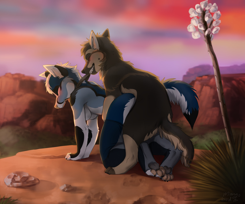 2019 4_toes anthro anthro_on_feral anthro_penetrated bestiality blue_body blue_fur brown_body brown_fur canid canine canis day detailed_background digital_media_(artwork) digitigrade domestic_dog female female_penetrated feral feral_penetrating feral_penetrating_anthro fox fur german_shepherd herding_dog male male/female male_penetrating male_penetrating_female mammal mangobird outside pastoral_dog penetration sky teeth toes
