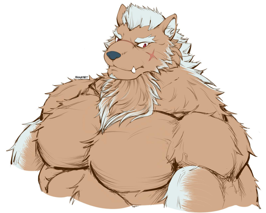 anthro brown_body brown_fur bust_portrait canid canine canis daily-incineroar demon fangs fur hair hi_res male mammal marchosias_(tas) muscular muscular_male nude pecs portrait red_eyes scar simple_background solo tokyo_afterschool_summoners video_games white_background white_hair wolf