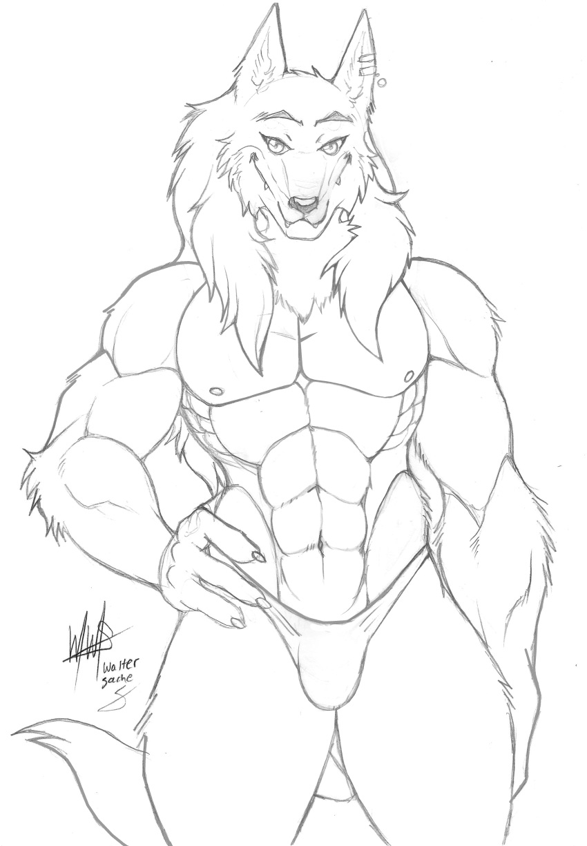 2012 abs absurd_res anthro biceps bulge canid canine canis clothed clothing ear_piercing front_view hi_res looking_at_viewer male mammal monochrome muscular navel nipples pecs piercing pose simple_background sketch smile solo speedo standing swimwear topless traditional_media_(artwork) walter_sache white_background wolf