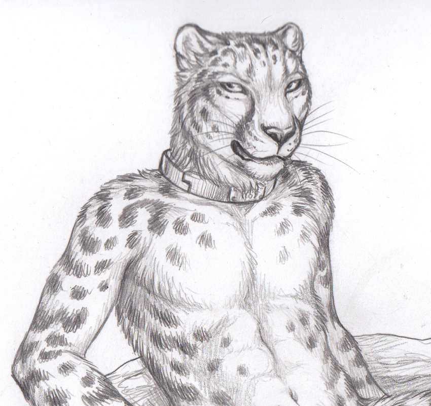 2019 anthro black_nose collar felid feline male mammal rukis solo traditional_media_(artwork) whiskers