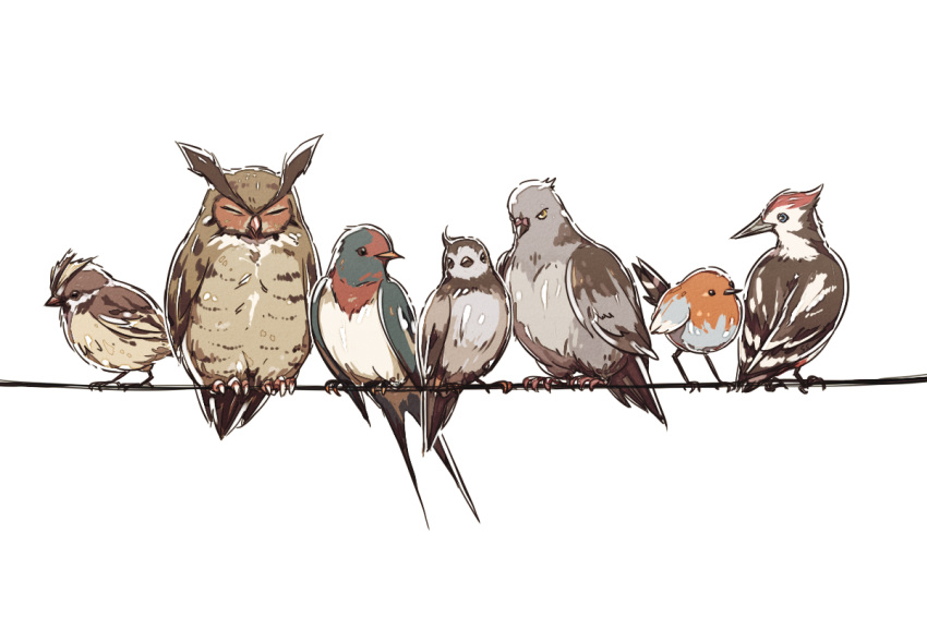 bird bird_focus closed_eyes facing_another fletchling gen_1_pokemon gen_2_pokemon gen_3_pokemon gen_4_pokemon gen_5_pokemon gen_6_pokemon gen_7_pokemon looking_at_another looking_at_viewer looking_away no_humans noctowl pidgey pidove pikipek pokemon pokemon_(creature) simple_background ssalbulre starly string taillow white_background