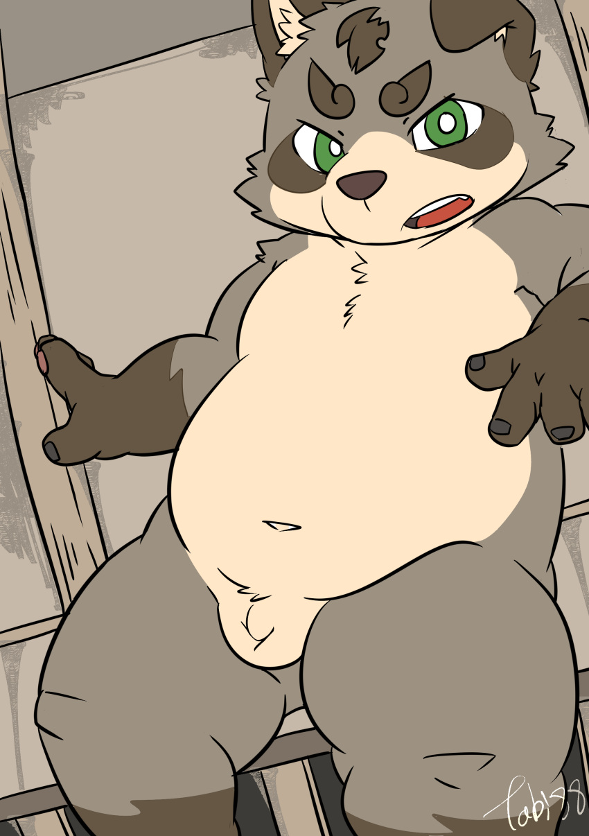 2020 absurd_res anthro balls belly brown_body brown_fur canid canine fur genitals green_eyes hi_res humanoid_hands kemono male mammal navel overweight overweight_male penis raccoon_dog sitting solo tanuki tiri_mama young