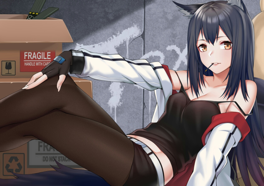 1girl animal_ears arknights bare_shoulders belt black_gloves black_hair black_shirt black_shorts box breasts brown_eyes brown_legwear camisole cardboard_box collarbone commentary_request fingerless_gloves gloves jacket long_hair looking_at_viewer medium_breasts midriff off_shoulder open_clothes open_jacket pantyhose reclining shirt short_shorts shorts solo spaghetti_strap strap_slip tail texas_(arknights) white_jacket zui_ai_shuang_mawei