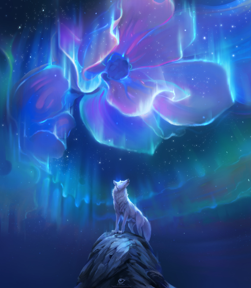 2020 alectorfencer ambiguous_gender aurora_borealis canid canine canis detailed_background digital_media_(artwork) feral flower fur hi_res mammal night outside plant sky solo standing star starry_sky white_body white_fur wolf