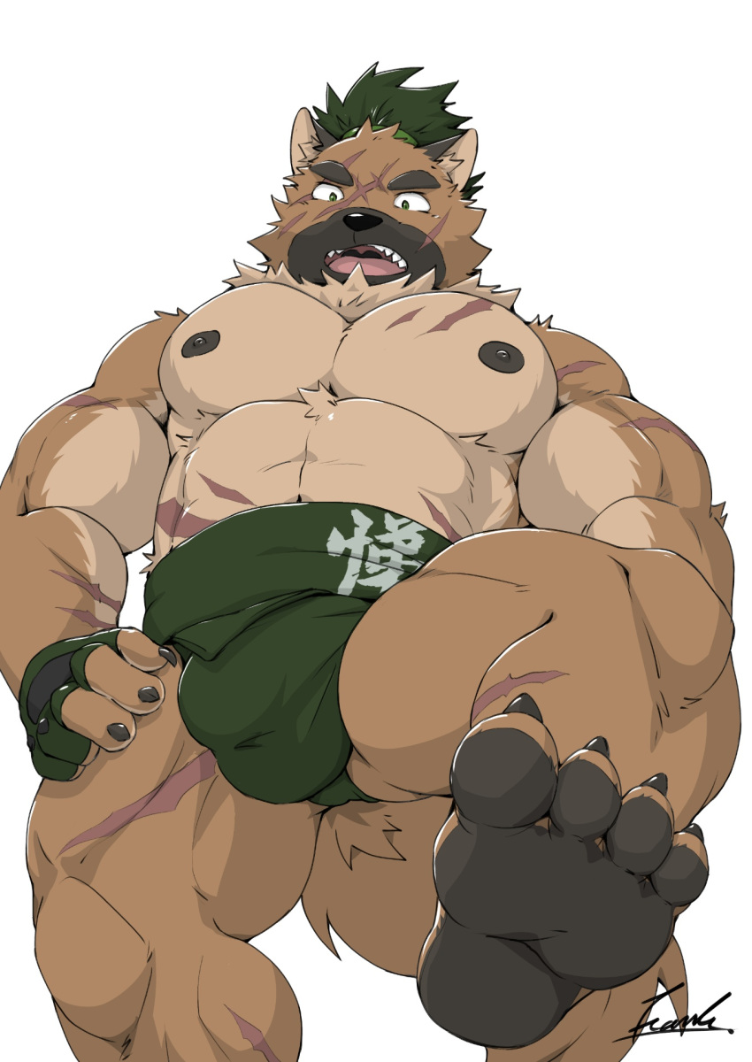 2020 anthro badtiger barazoku black_nose brown_body brown_fur bulge canid canine canis domestic_dog fur hi_res humanoid_hands kemono male mammal nipples scar simple_background solo sumo tokyo_afterschool_summoners video_games white_background yasuyori