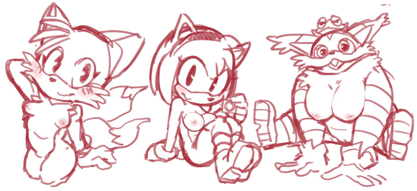 amphibian amy_rose anthro big_breasts big_the_cat blush breasts condom conjoined_eyes crossgender duo female feral frog genitals hi_res miles_prower mostly_nude nipples offering_condom pussy simple_background sitting sketch solo sonic_the_hedgehog_(series) uyu white_background