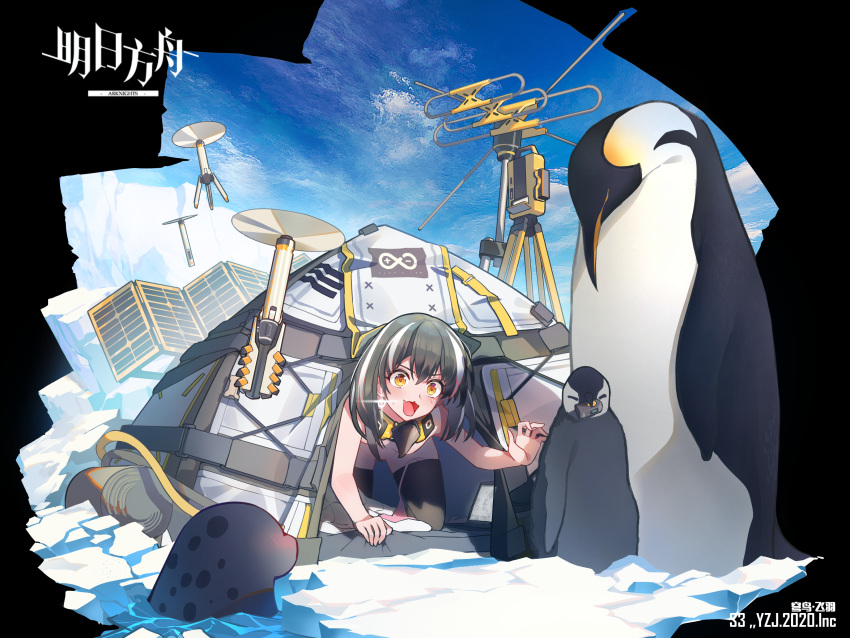 arknights magallan_(arknights) naked pantsu panty_pull penguin string_panties thighhighs wardrobe_malfunction zipplin