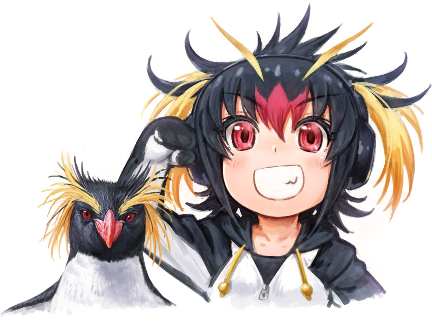 1girl :d animal bird black_hair blonde_hair collarbone commentary_request drawstring eyebrows_visible_through_hair grin hand_up headphones highres hood hood_down hoodie kemono_friends lain looking_at_viewer multicolored_hair open_mouth penguin red_eyes red_hair rockhopper_penguin rockhopper_penguin_(kemono_friends) short_hair simple_background smile teeth twintails v-shaped_eyebrows white_background