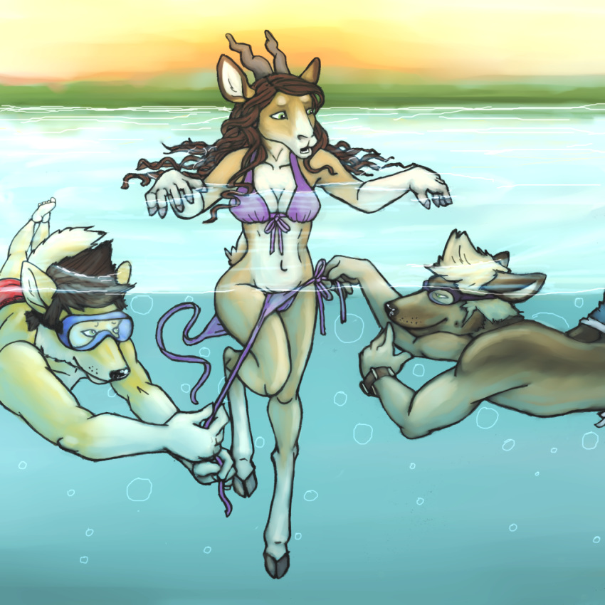 1:1 antelope anthro assisted_exposure bikini black_nose bottomless bottomwear bovid breasts brown_hair canid canine canis cleavage clothed clothing digitigrade domestic_dog eyewear female forced forced_nudity fur gazelle goggles hair hi_res hooves lucky_pony male mammal navel swimming swimwear underwater undressing water wolf