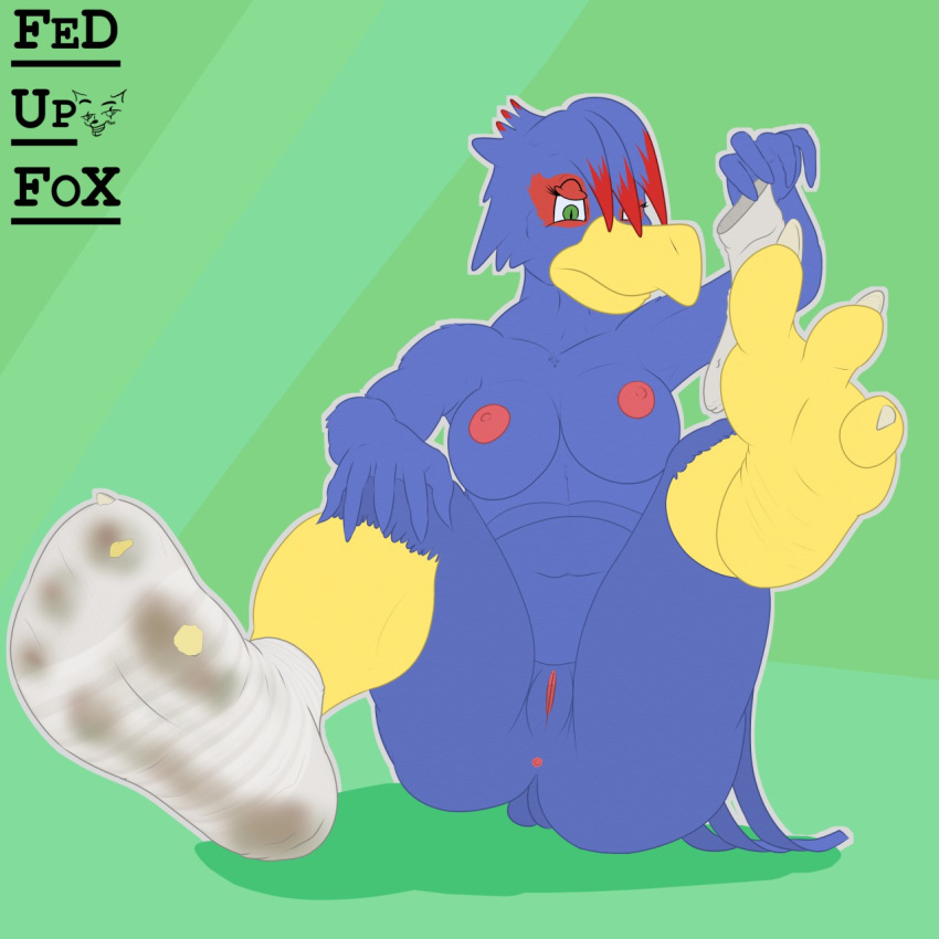 1:1 anthro anus avian barefoot bird breasts clothing crossgender falco_lombardi falcon falconid fedupfox female foot_focus genitals hi_res legwear markings nintendo pussy socks solo star_fox toes video_games