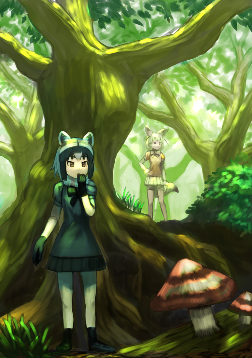 2girls animal_ears black_dress black_hair black_ribbon blonde_hair boots brown_eyes commentary_request common_raccoon_(kemono_friends) dress fennec_(kemono_friends) forest giant_mushroom grass grey_hair hand_on_hip hand_to_own_mouth highres kemono_friends looking_afar multicolored_hair multiple_girls nature orange_dress raccoon_ears raccoon_tail ribbon short_hair skirt tail tree wasabi60 yellow_skirt