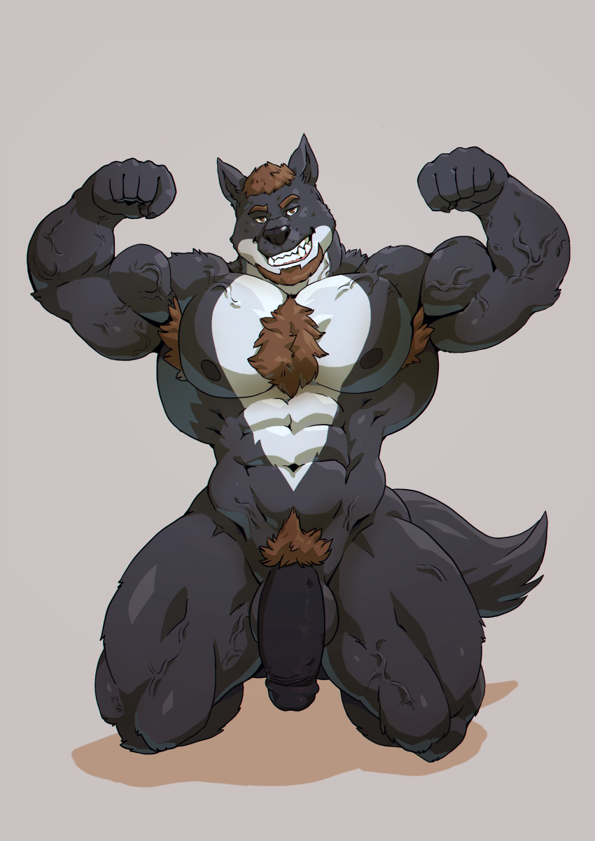 2017 5_fingers abs absurd_res anthro armpit_hair balls beard biceps big_balls big_muscles big_penis black_body black_claws black_fur black_nipples black_nose black_penis body_hair brown_eyes brown_hair canid canine canis chest_hair claws cut_(disambiguation) facial_hair fingers flaccid flexing fur genitals grin hair hi_res huge_muscles kneeling looking_at_viewer male mammal multicolored_body multicolored_fur muscular muscular_male nex_anima_canis nipples nude pecs penis pubes quads simple_background smile solo taoren thick_penis two_tone_body two_tone_fur veiny_muscles white_body white_fur wolf