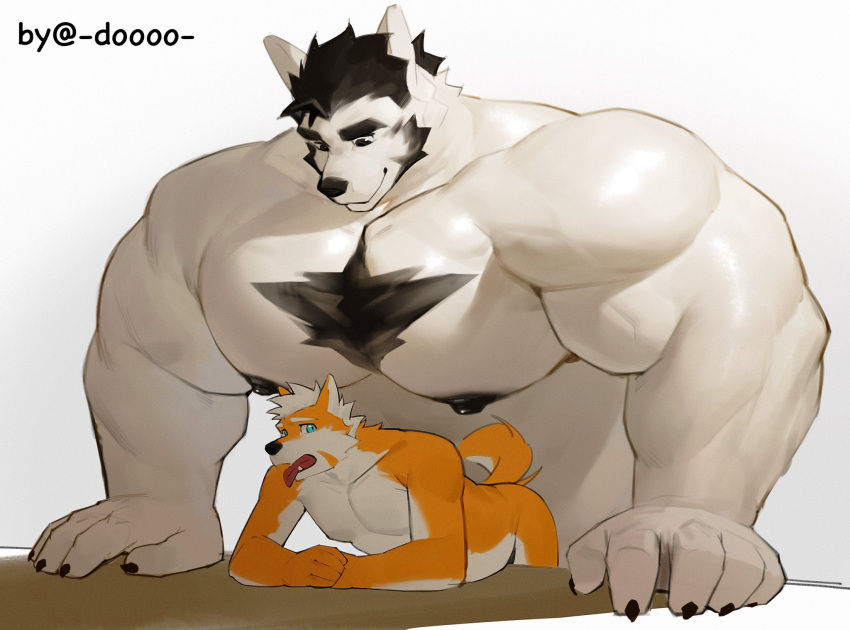 abdominal_bulge anal anal_penetration anthro bear big_muscles big_pecs canid canine canis domestic_dog doooo2424 duo extreme_size_difference fur hi_res huge_biceps huge_muscles huge_pecs male male/male mammal muscular muscular_male orange_body orange_fur pecs penetration size_difference tongue tongue_out white_body