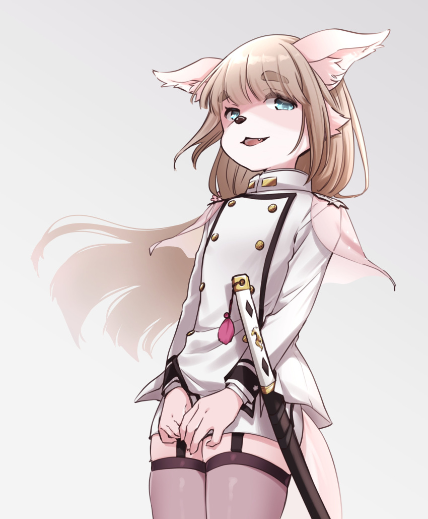 absurd_res anthro blue_eyes brown_hair canid canine canis clothing domestic_dog footwear fur garter_straps girly hair hi_res legwear lifewonders long_hair male mammal military_uniform p66989 pink_body pink_fur socks solo tanetomo thigh_highs thigh_socks tokyo_afterschool_summoners uniform