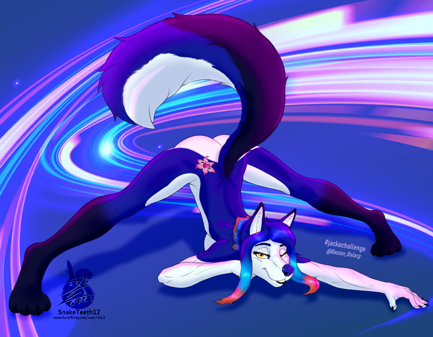 anthro ass_up athletic athletic_female basian belly blue_body blue_fur blue_hair blue_nose canid canine canis digital_drawing_(artwork) digital_media_(artwork) digitigrade domestic_dog female flower_tattoo fluffy fluffy_tail fur hair hi_res husky jack-o'_pose long_tail looking_at_viewer mammal nordic_sled_dog one_eye_closed pose slim smile smiling_at_viewer snaketeeth12 solo spitz spread_legs spreading tail white_belly white_face wink yellow_eyes