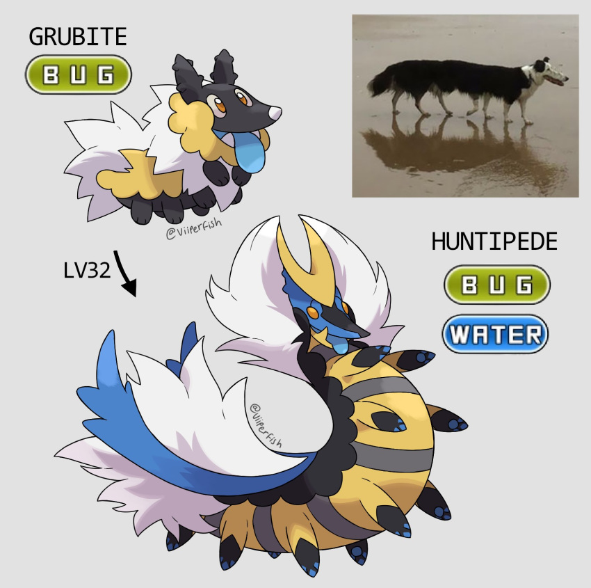 ambiguous_gender arthropod black_body black_fur blue_body blue_fur canid canine canis domestic_dog duo fak&eacute;mon feral fur grey_background hi_res mammal meme myriapod on_model paws real simple_background viiperfish white_body white_fur yellow_body yellow_fur