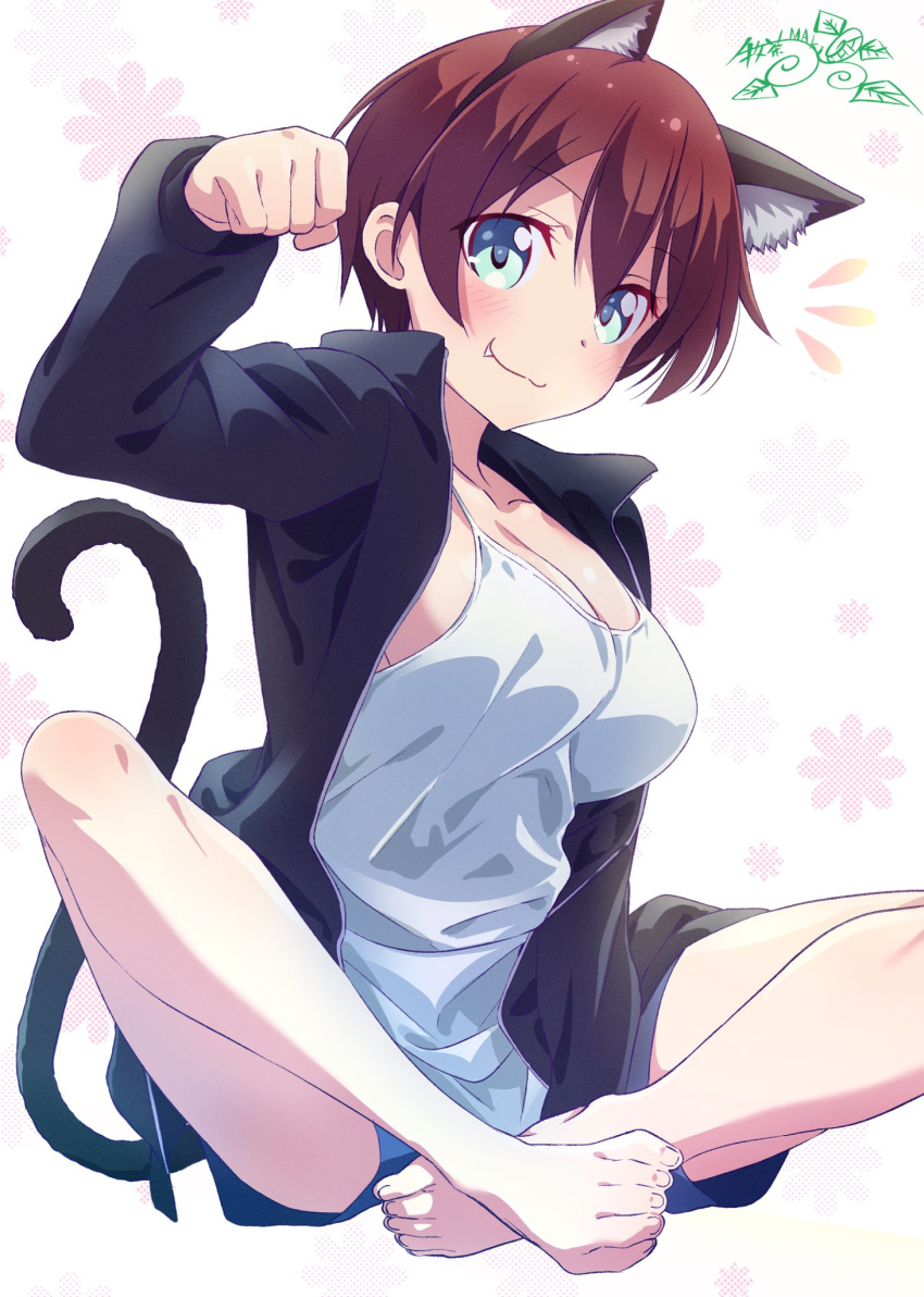 1girl :3 animal_ear_fluff animal_ears bangs barefoot between_legs black_jacket blue_eyes blue_shorts breasts brown_hair cat_ears cleavage eyebrows_visible_through_hair fang fang_out hair_between_eyes hand_between_legs highres indian_style jacket large_breasts looking_at_viewer new_game! open_clothes open_jacket pink_x shinoda_hajime shiny shiny_hair shirt short_hair short_shorts shorts sitting sleeveless sleeveless_shirt solo white_background white_shirt