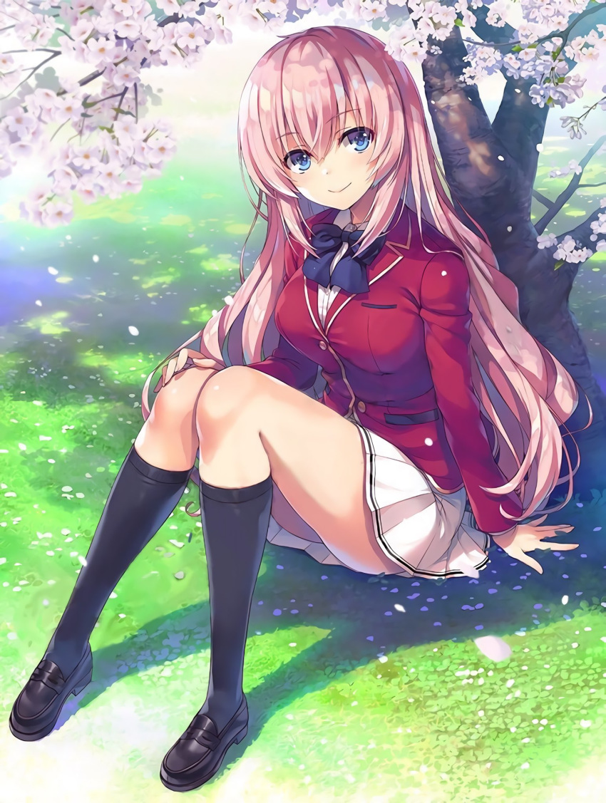 1girl arm_support bangs black_footwear black_legwear blazer blue_eyes breasts buttons closed_mouth day eyebrows_visible_through_hair flower full_body highres ichinose_honami_(youjitsu) jacket knees_up loafers long_hair long_sleeves looking_at_viewer medium_breasts official_art outdoors petals pink_hair pleated_skirt ribbon school_uniform shadow shiny shiny_hair shiny_skin shoes simple_background sitting skirt smile socks solo tomose_shunsaku tree tree_branch very_long_hair youkoso_jitsuryoku_shijou_shugi_no_kyoushitsu_e