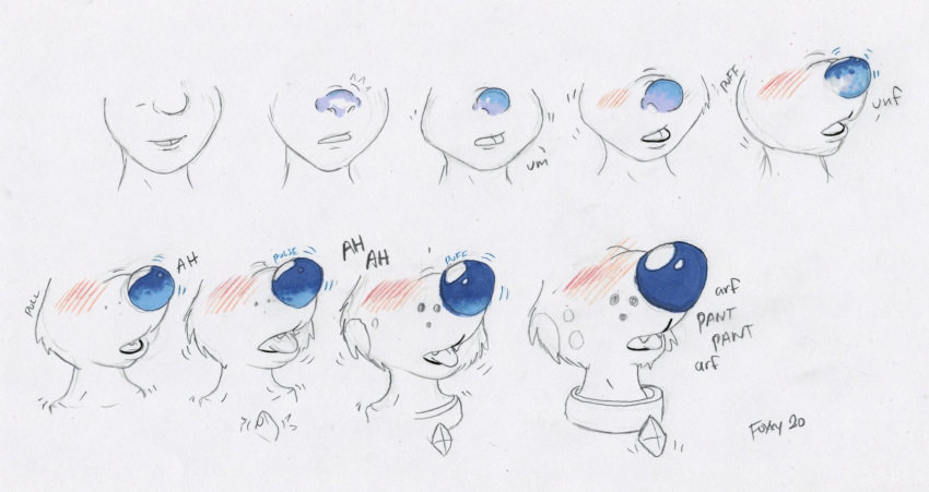 anthro blush canid canine collar foxxy hi_res human male mammal sequence snout solo tongue tongue_out transformation