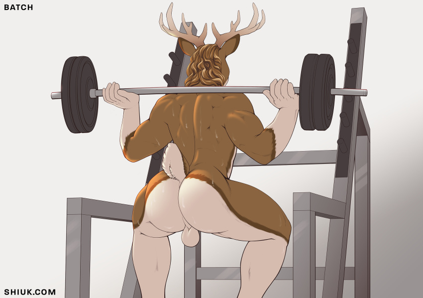 2020 antlers back_muscles backsack balls batch_(righthandtoaster) bodily_fluids butt cervid crouching exercise genitals gym_equipment hair hi_res horn male mammal nude perineum rear_view shiuk solo sweat text url