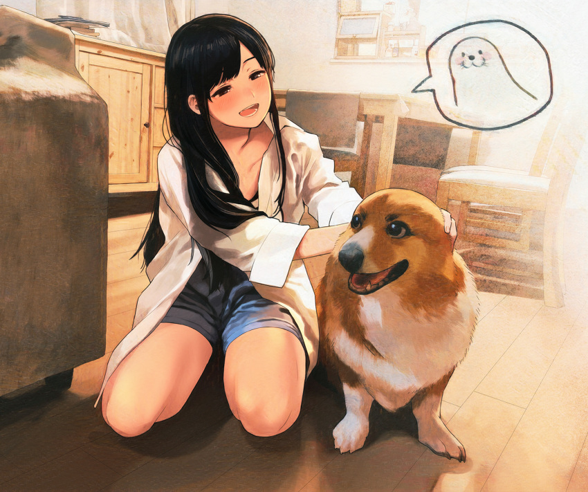 1girl animal black_hair chair commentary dog highres indoors long_hair long_shirt morifumi original seal_(animal) short_shorts shorts speech_bubble squatting table welsh_corgi