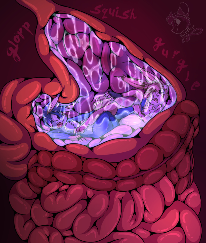 ambiguous_gender ambiguous_pred ambiguous_prey ambiguous_species endosoma fight guts hi_res internal intestines kitnip oral_vore paws semi-anthro size_difference stomach vore