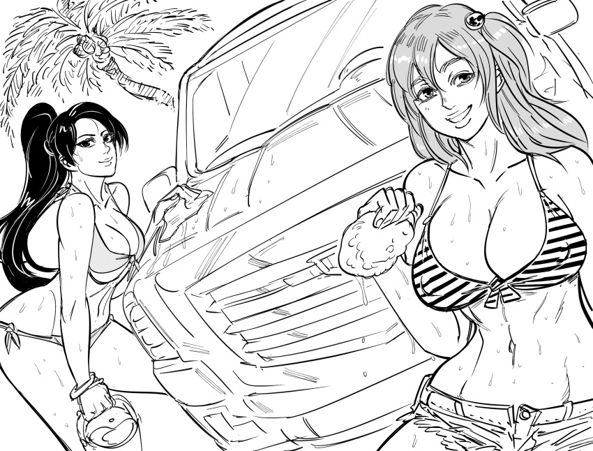 2girls bb_(baalbuddy) bikini breasts bucket car car_wash dead_or_alive dead_or_alive_5 greyscale ground_vehicle hair_ornament highres holding honoka_(doa) large_breasts leaning_forward looking_at_viewer momiji_(ninja_gaiden) monochrome motor_vehicle multiple_girls navel ninja_gaiden one_side_up palm_tree ponytail short_shorts shorts side-tie_bikini smile sponge swimsuit tree wet