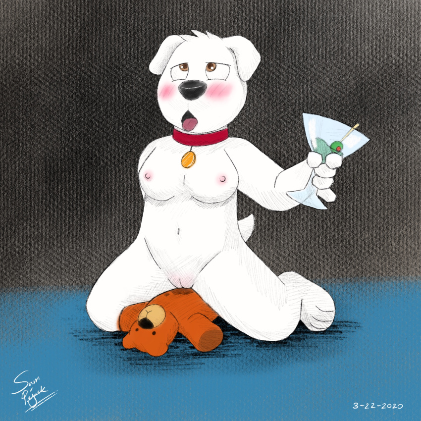 1:1 breasts brian_griffin canid canine canis crossgender domestic_dog family_guy female fur genitals hi_res mammal pussy samuel_pejack teddy_bear white_body white_fur