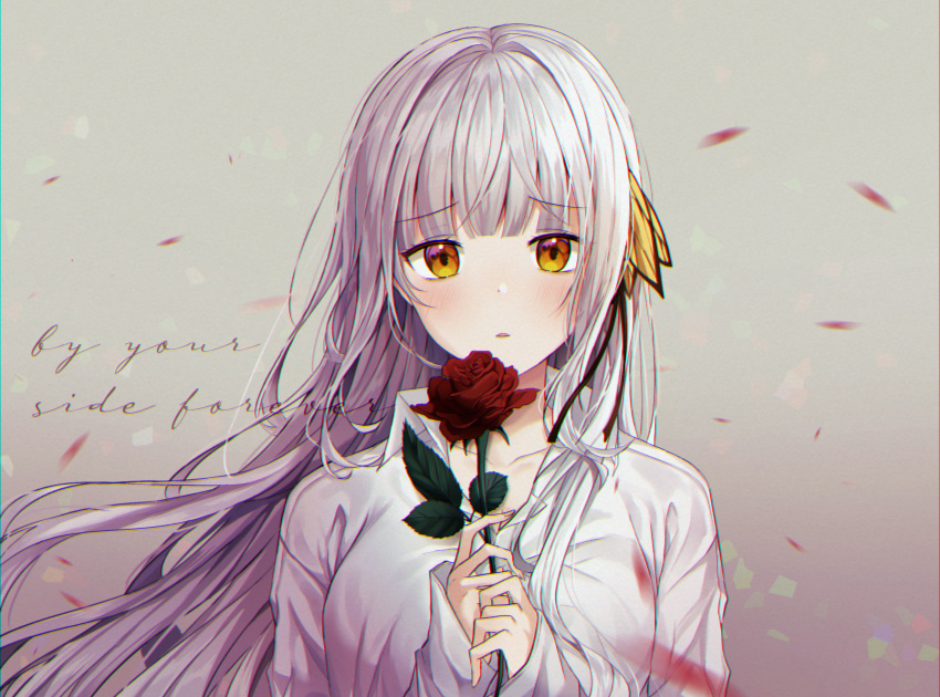 blush flowers gray_hair long_hair miyo_(user_zdsp7735) original rose shirt yellow_eyes