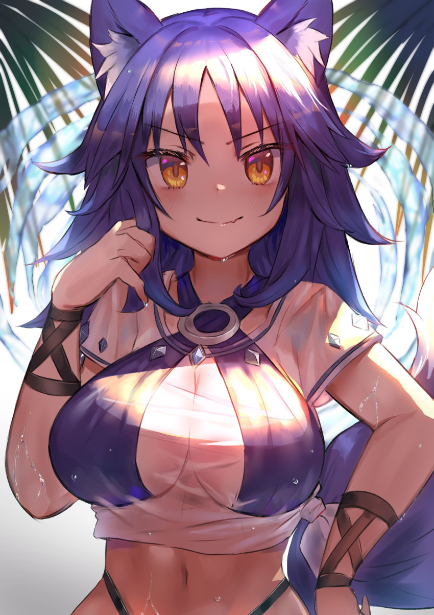 1girl absurdres aki_makoto animal_ear_fluff animal_ears armband bangs bikini bikini_under_clothes blush breasts closed_mouth criss-cross_halter day eyebrows_visible_through_hair fang hair_between_eyes halterneck hand_in_hair hand_up highres large_breasts long_hair looking_at_viewer mo55ilst navel o-ring o-ring_top palm_leaf princess_connect! princess_connect!_re:dive purple_bikini purple_hair see-through shirt skin_fang smile solo standing sunlight swimsuit tail tied_shirt water wet wet_clothes white_shirt wolf_ears wolf_girl wolf_tail yellow_eyes