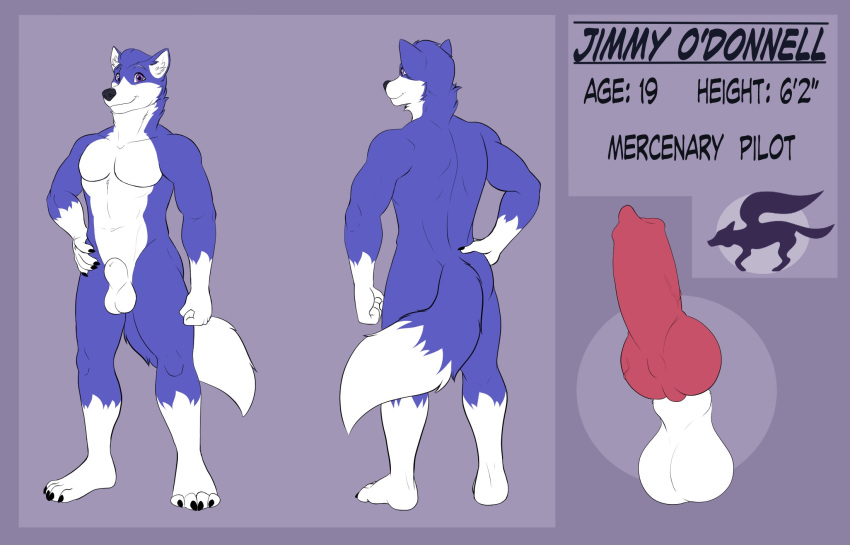 animal_genitalia animal_penis anthro balls blue_body blue_fur canid canine canine_penis canis fully_sheathed fur genitals hi_res hybrid jimmy_o'donnell knot male mammal merffle model_sheet penis purple_eyes reference_image sheath solo wolf