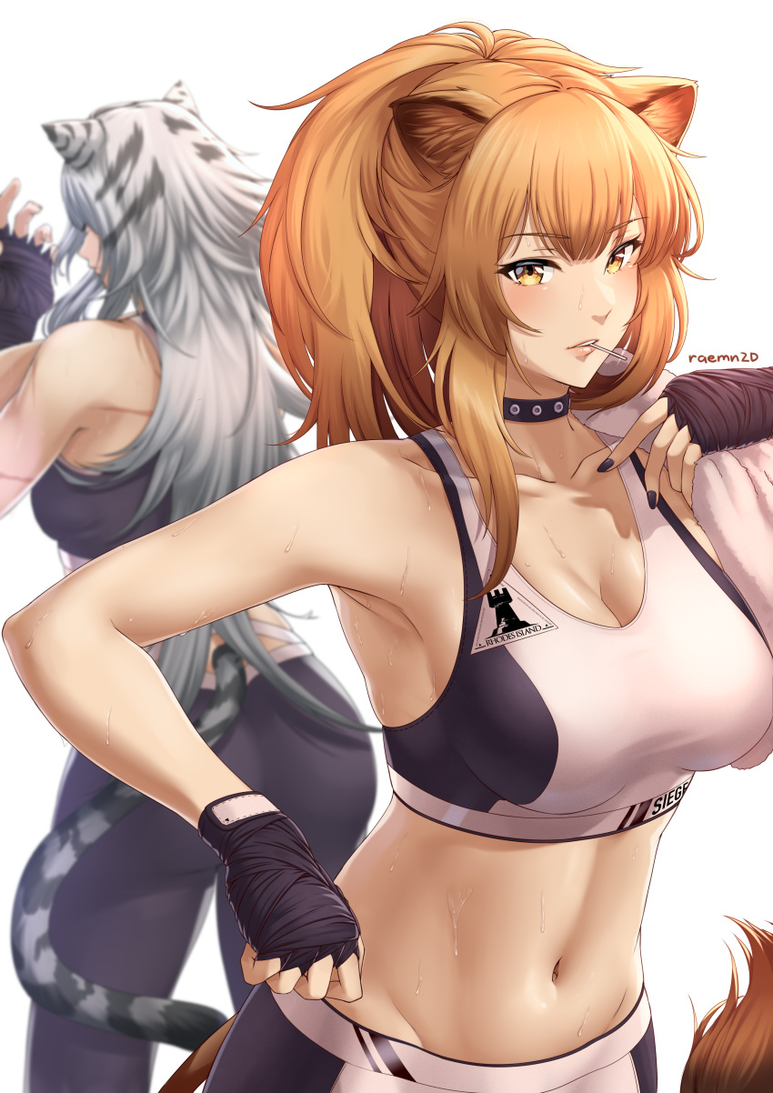 2girls absurdres animal_ears arknights armpits artist_name ass bangs bare_arms bare_shoulders black_choker black_gloves black_nails black_pants blonde_hair blush breasts choker cleavage collarbone commentary eyebrows_visible_through_hair fingerless_gloves from_behind gloves grey_hair groin highres indra_(arknights) large_breasts leggings leopard_ears leopard_tail lion_ears lion_tail long_hair looking_at_viewer midriff mouth_hold multicolored_hair multiple_girls nail_polish navel pants ponytail raemn_(raemn2d) siege_(arknights) silver_hair simple_background sports_bra sportswear stomach sweat tail tiger_ears tiger_tail upper_body white_background yellow_eyes