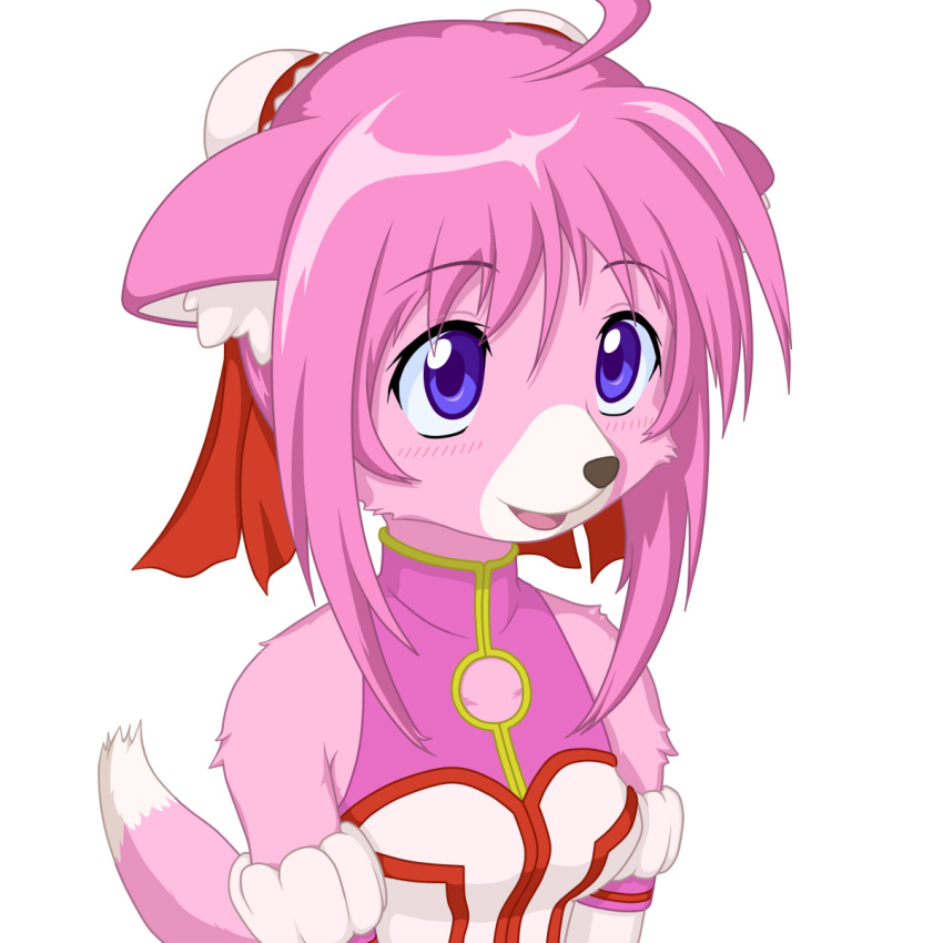 1:1 2011 alternate_species asian_clothing blue_eyes blush breasts canid chinese_clothing clothing dog_days east_asian_clothing female fur hair half-length_portrait hi_res inner_ear_fluff kasetsu_hanga looking_up mammal millhiore_f_biscotti pink_body pink_fur pink_hair portrait simple_background smile solo tuft white_background