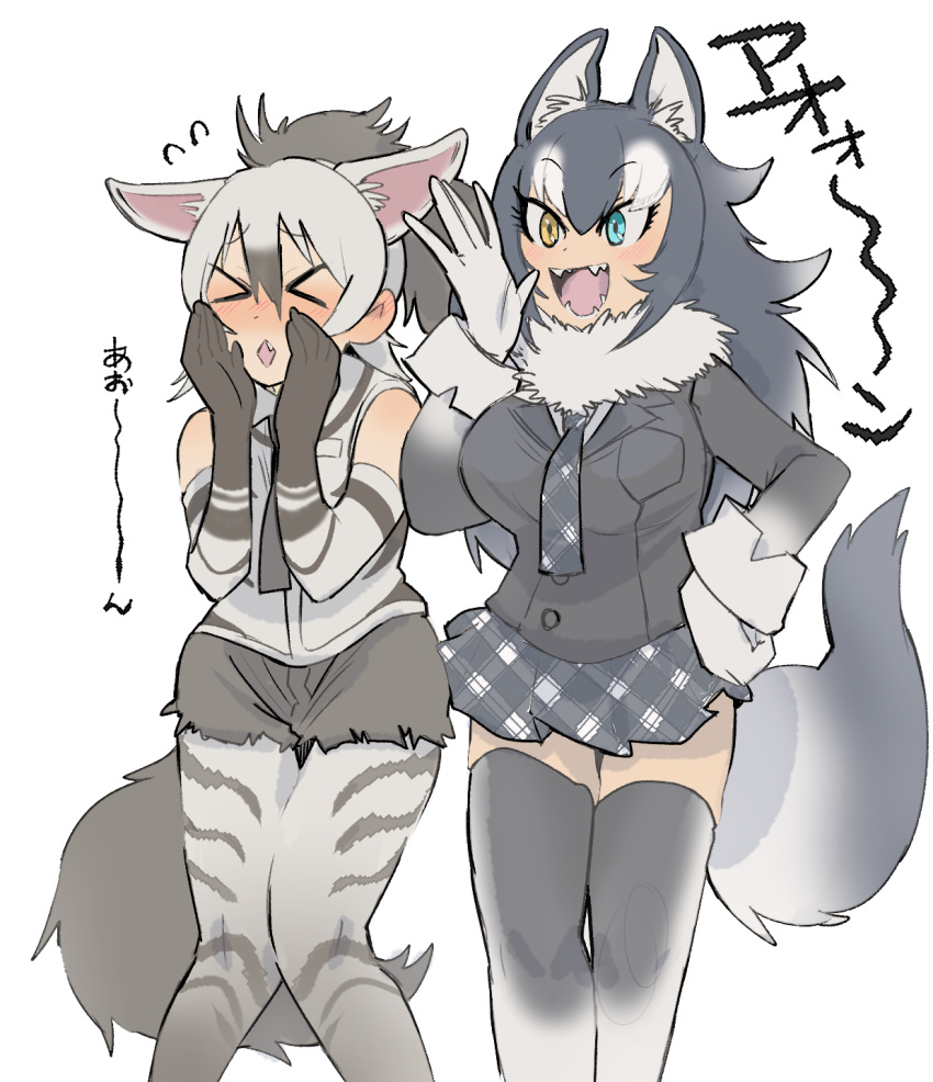 &gt;_&lt; 2girls aardwolf_(kemono_friends) aardwolf_ears aardwolf_print aardwolf_tail animal_ears aqua_eyes bangs bare_shoulders black_hair black_shorts blazer blush breast_pocket closed_eyes collared_shirt cutoffs ear_blush ears_down elbow_gloves embarrassed extra_ears eyebrows_visible_through_hair fang fangs feet_out_of_frame flying_sweatdrops fur_collar furrowed_eyebrows gloves grey_hair grey_wolf_(kemono_friends) hair_between_eyes hand_on_hip hand_to_own_mouth hand_up hands_up heterochromia high_ponytail highres howling igarashi_(nogiheta) jacket kemono_friends knees_together_feet_apart legs_together legwear_under_shorts long_hair long_sleeves looking_afar microskirt multicolored_hair multiple_girls necktie nose_blush open_mouth pantyhose plaid plaid_neckwear plaid_skirt pocket print_gloves print_legwear print_shirt shirt short_shorts shorts side-by-side simple_background skirt sleeveless sleeveless_shirt smile standing tail thigh_gap thighhighs two-tone_hair white_background wolf_ears wolf_girl wolf_tail yellow_eyes zettai_ryouiki