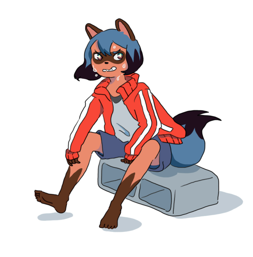 1girl absurdres animal_ears brand_new_animal color_trace furry highres jacket kagemori_michiru multicolored multicolored_eyes raccoon_ears raccoon_girl raccoon_tail red_jacket red_track_suit shorts solo tail tanuki