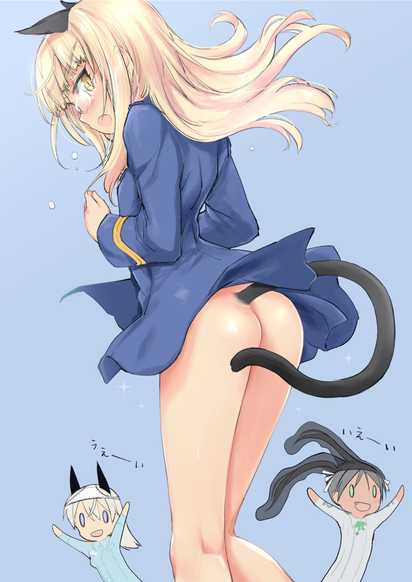 3girls animal_ears aohashi_ame ass black_legwear blonde_hair blue_background blush bottomless breasts cat_ears cat_tail eila_ilmatar_juutilainen eyebrows_visible_through_hair fang feet_out_of_frame francesca_lucchini glasses green_hair highres long_hair looking_at_viewer looking_back multiple_girls object_on_head open_mouth panties panties_on_head pantyhose pantyhose_on_head perrine_h_clostermann shiny shiny_hair shiny_skin simple_background small_breasts standing strike_witches tail twintails underwear white_hair white_panties world_witches_series yellow_eyes