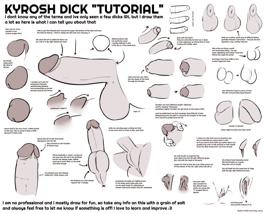 balls circumcised clitoris digital_media_(artwork) english_text erection flaccid foreskin genitals hi_res how-to humanoid_genitalia humanoid_penis kyrosh male not_furry penis pussy text uncut zero_pictured