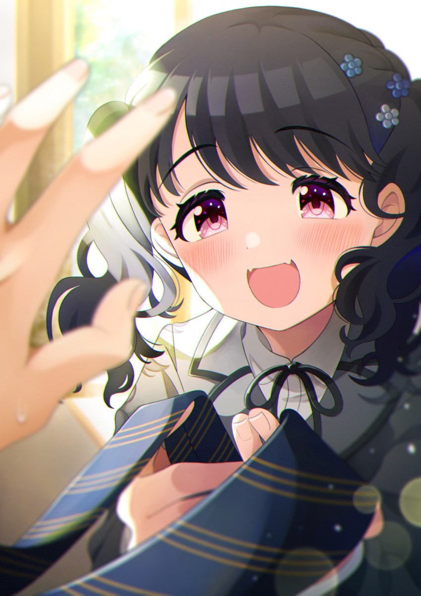 1girl black_hair blue_neckwear blush disembodied_hands eyebrows_visible_through_hair fangs fukumaru_koito happy highres idolmaster idolmaster_shiny_colors looking_at_viewer necktie open_mouth pink_eyes short_hair short_twintails smile solo twintails umeume_(totoya)