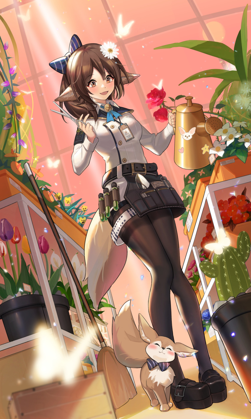 1girl :d absurdres alternate_costume animal animal_ears arknights bangs belt black_belt black_footwear black_legwear blue_bow blush bow breasts brown_eyes brown_hair bug butterfly cactus dutch_angle eyebrows_visible_through_hair flower fox fox_ears full_body hair_bow highres holding holding_scissors holding_watering_can insect long_sleeves medium_breasts minamayumi open_mouth orange_flower pantyhose perfumer_(arknights) purple_flower red_flower red_rose rose scissors shirt shoes short_hair smile standing striped striped_bow thighs tulip vial watering_can white_shirt wing_collar