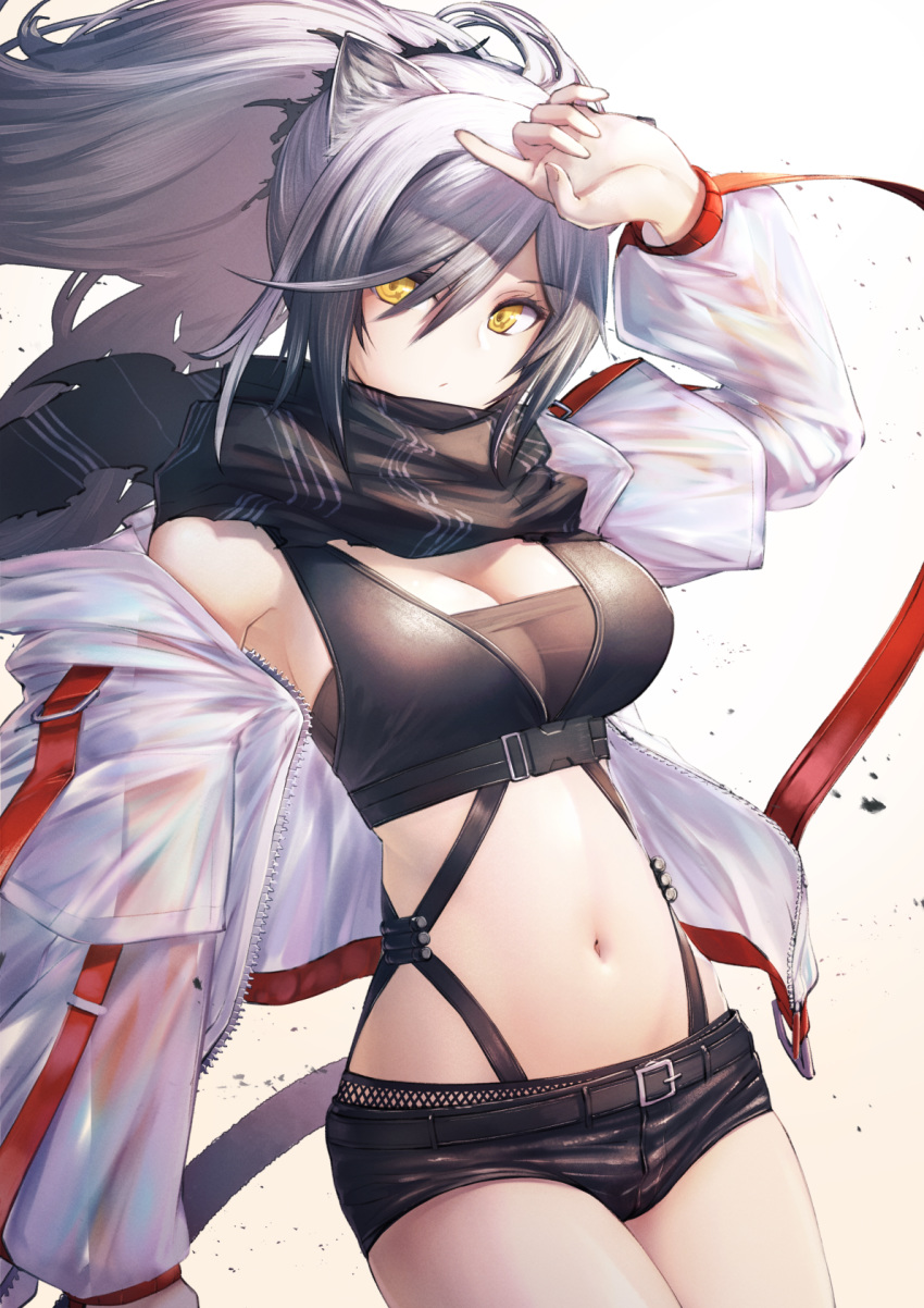 1girl animal_ears arknights arm_up bare_shoulders belt black_shirt black_shorts breasts cat_ears cleavage closed_mouth cowboy_shot crop_top hair_between_eyes highres itaco1987 jacket large_breasts long_hair looking_at_viewer midriff navel off_shoulder open_clothes open_jacket ponytail scarf schwarz_(arknights) shirt short_shorts shorts silver_hair simple_background sleeveless sleeveless_shirt solo stomach thighs white_background white_jacket yellow_eyes