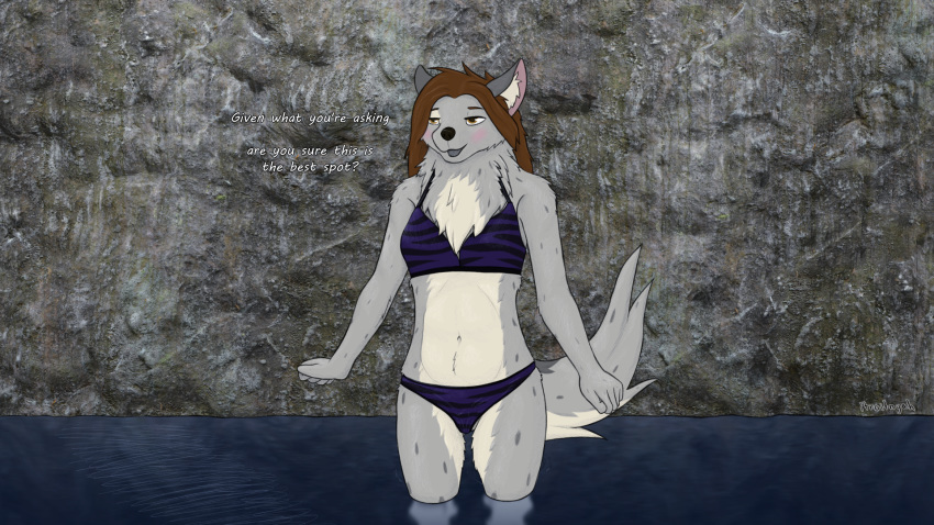 16:9 anthro baggy_clothing barely_visible_genitalia barely_visible_pussy blush bottomwear canid canine clothed clothing detailed_background female fur genitals hair hi_res itroitnyah mammal open_mouth outside partially_submerged public pussy smile solo swimwear text water widescreen