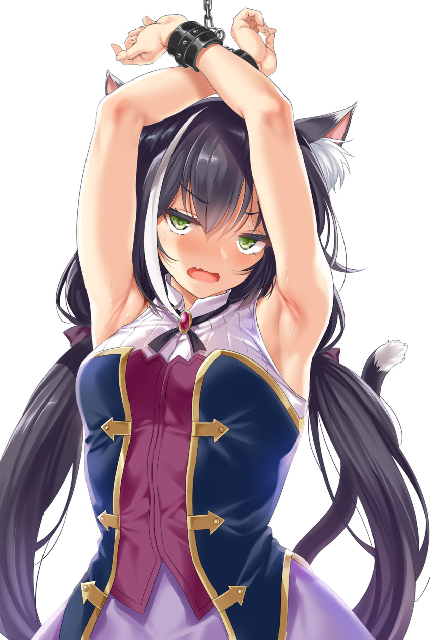 1girl animal_ear_fluff animal_ears armpits arms_up bangs bare_shoulders bdsm black_hair blush bondage bound bound_arms breasts cat_ears cat_girl cat_tail chain chained cowboy_shot dress eyebrows_visible_through_hair fang green_eyes highres kure_masahiro kyaru_(princess_connect) long_hair looking_at_viewer low_twintails multicolored multicolored_clothes multicolored_dress multicolored_hair princess_connect! simple_background skin_fang sleeveless sleeveless_dress small_breasts solo streaked_hair tail twintails v-shaped_eyebrows very_long_hair white_background white_hair